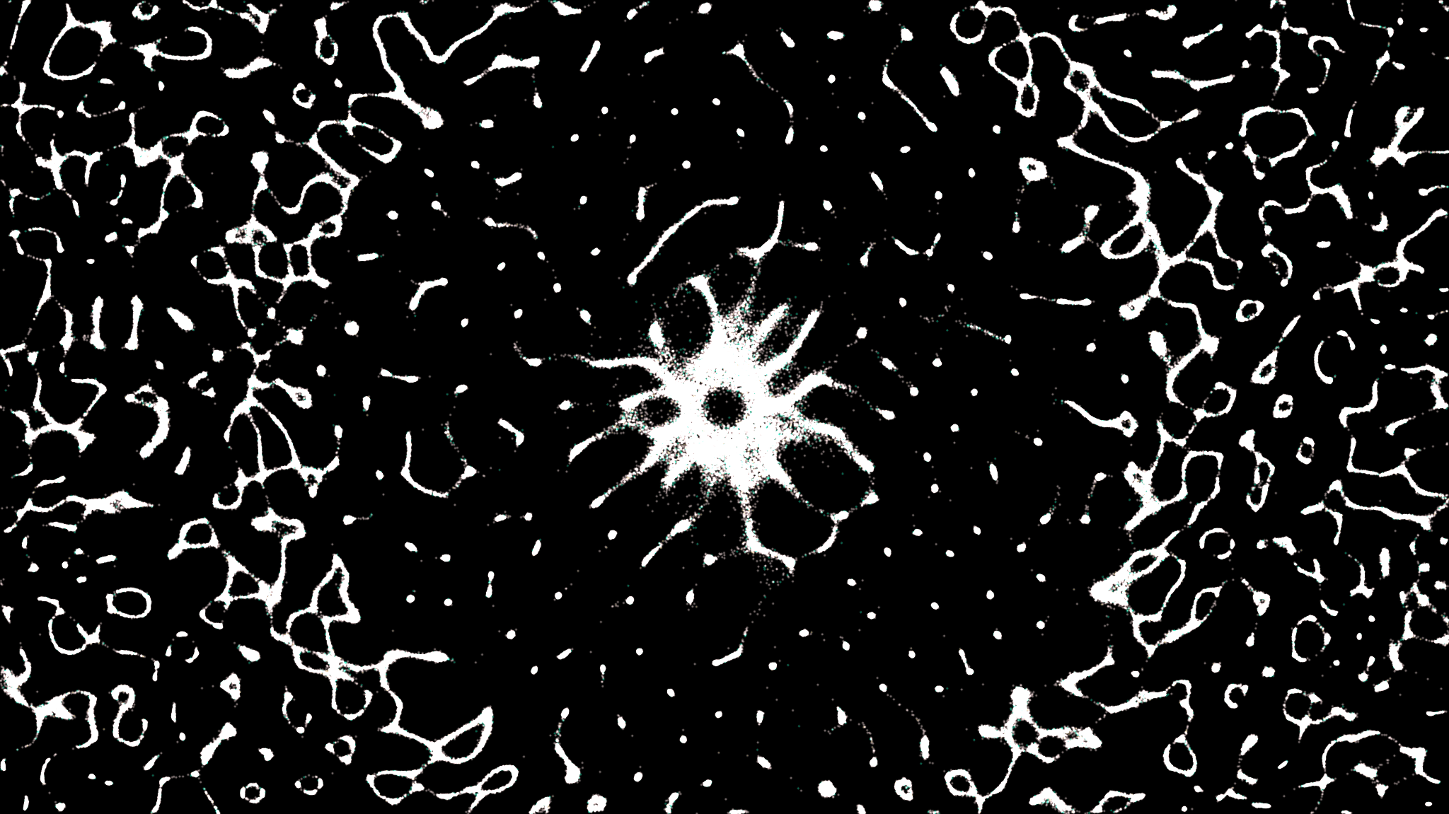 Review & Recap: Protocols for Postcapitalist Expression